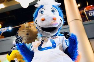 Colts Mascot Blue - Mascot Hall of Fame courtesy of Trey Mock