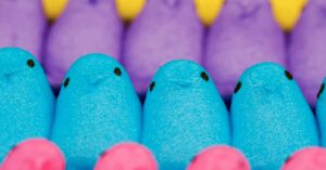Peeps Candy Chicks of Many Colors Sit in a Row.