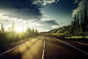 Highway Nature