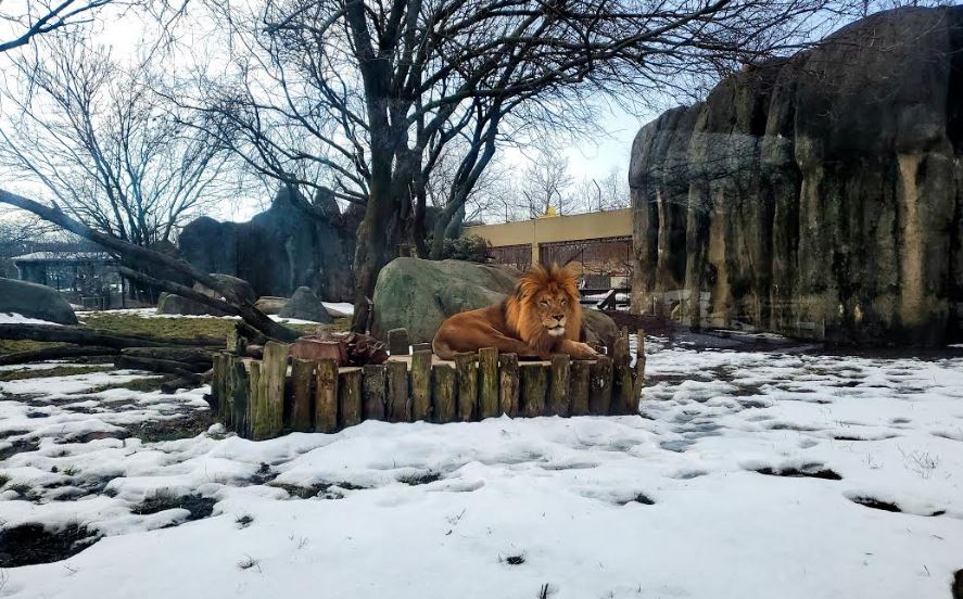 At The Indianapolis Zoo WIBC 93.1 FM