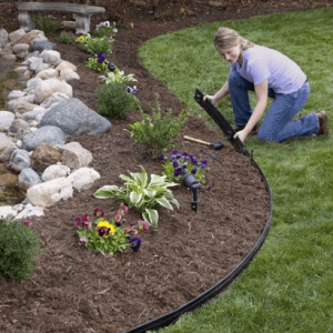 lady installing black coil edging in flower bed