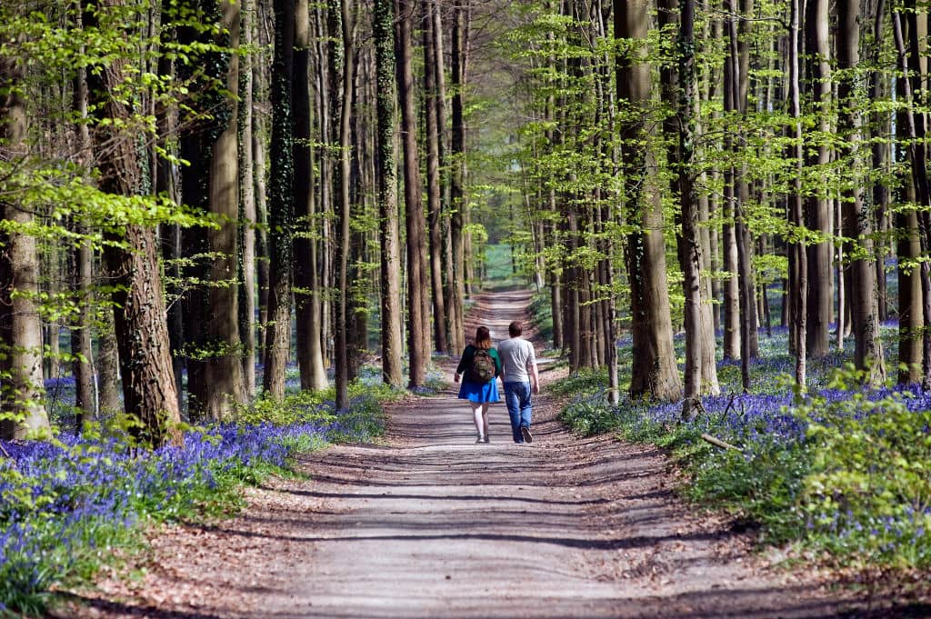 Indiana Ranks 41st in National Mental Health Comparisons