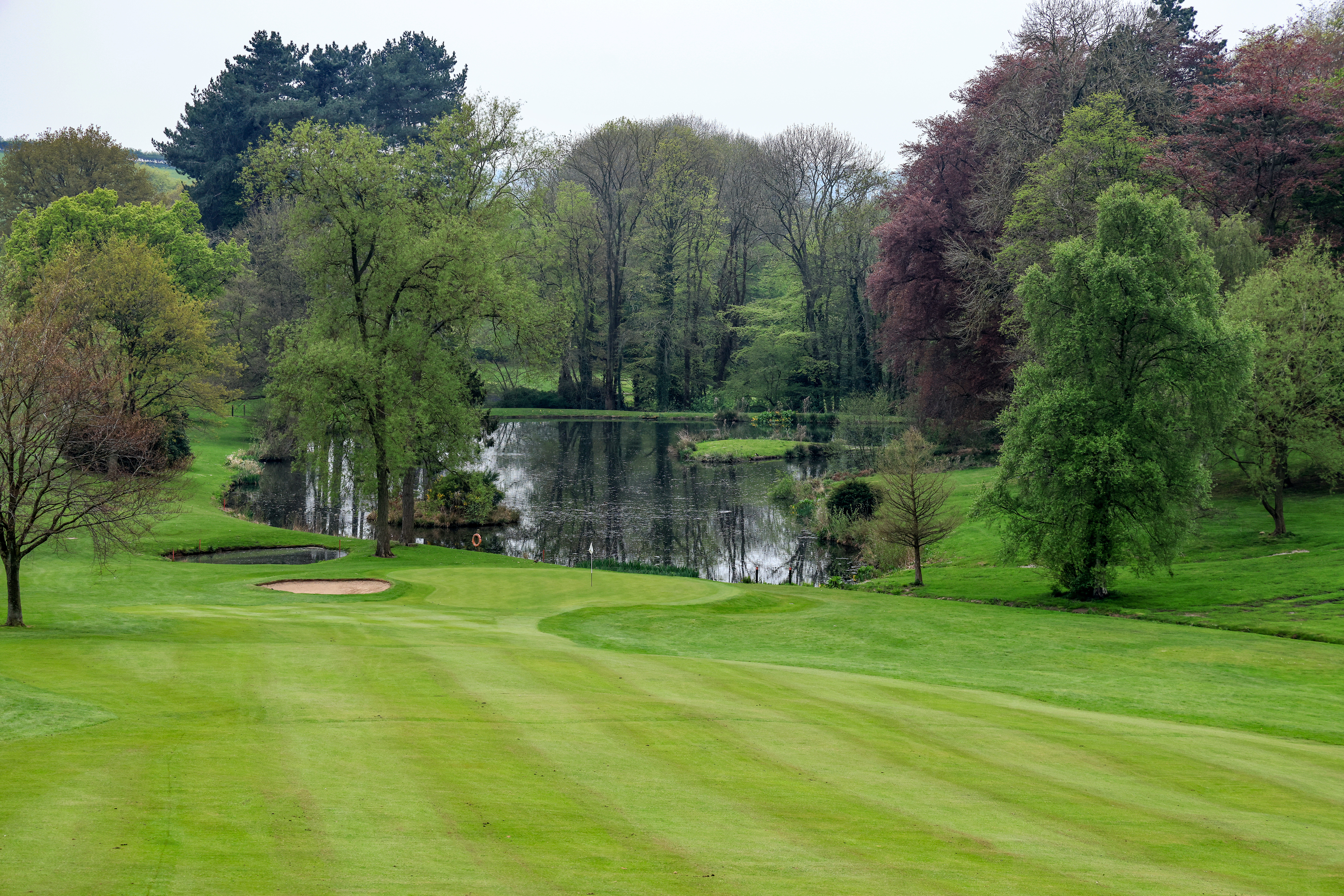 A view of the approach to the green on the par on a golf course