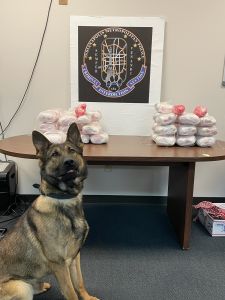 Image of IMPD K-9 with 90 Pounds of Meth