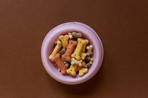 Close up of a dog bowl with bones on brown background. Dog accessories, rubber toys. Minimalistic background.