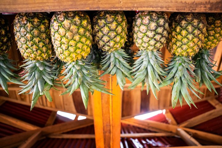 Row of the ripe yellow pineapples on the counter of a fruit shop in the tropical island. Fresh juice and vitamins for a healthy lifestyle on summer vacation