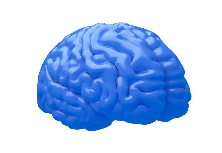 A blue 3D brain model