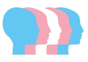 People supporing transgender personses rights. Transgender people communicate, vector illustration. Faces of diverse cultures in propfile in different colors of the transgender flag