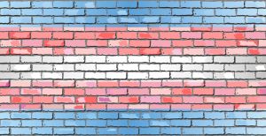 Transgender Flag on a brick wall