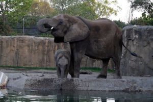 Indianapolis Cityscapes And City Views