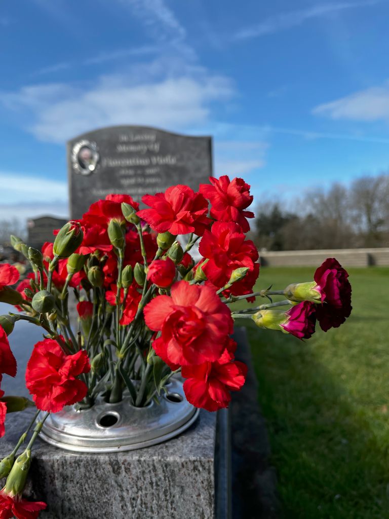 Red flowers on grave