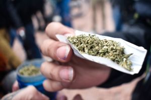 420 Cannabis day Celebrations in Colombia