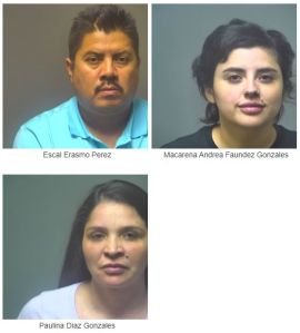 Mug Shots of Suspected "South American Theft Group" Members