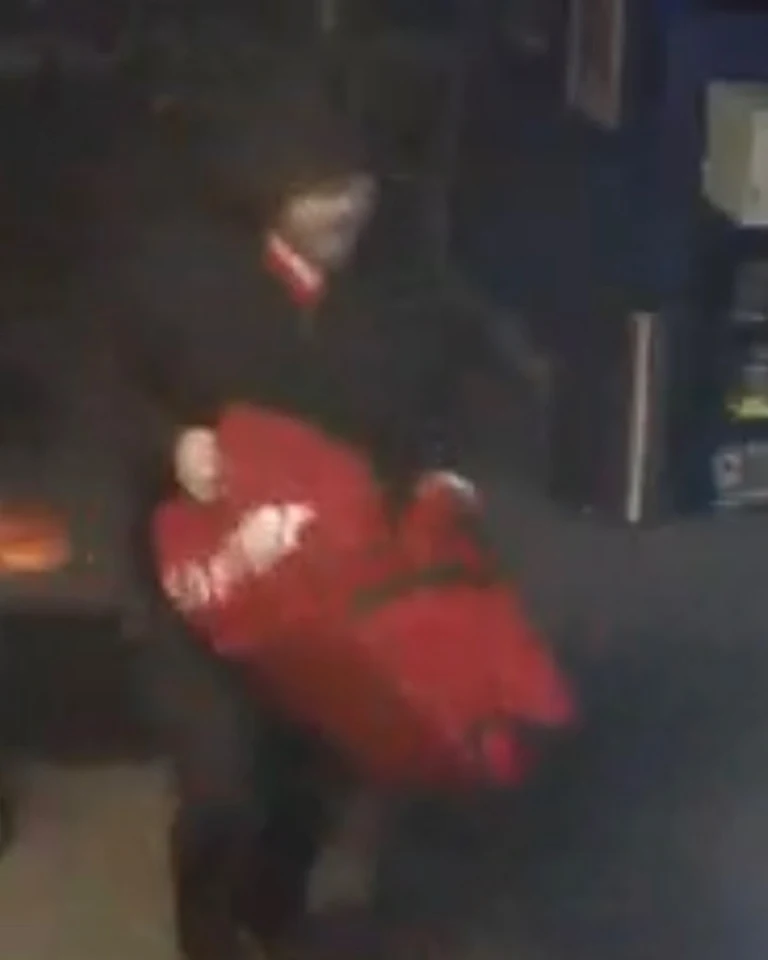 Valkyrie’s Vault Thief