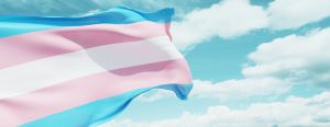 Transgender flag waving in the wind against a cloudy sky.