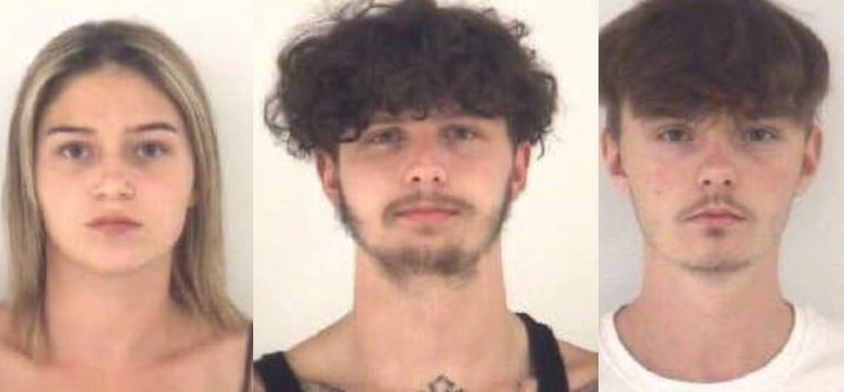 Emily Franklin, Charles Breedlove, Ashton Fields mugshot