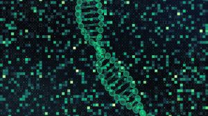 DNA model against binary codes