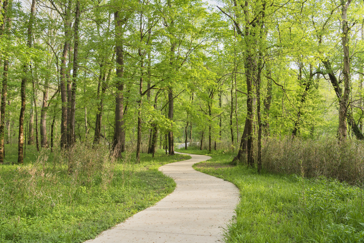 Mammoth Cave National Park