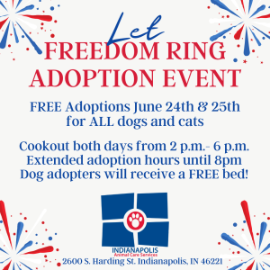 Flyer for the Let Freedom Ring Adoption Event