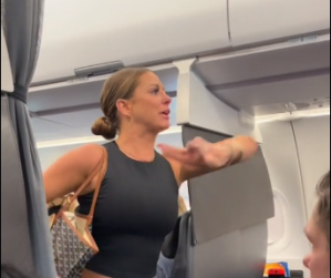 "Not Real" Plane Lady