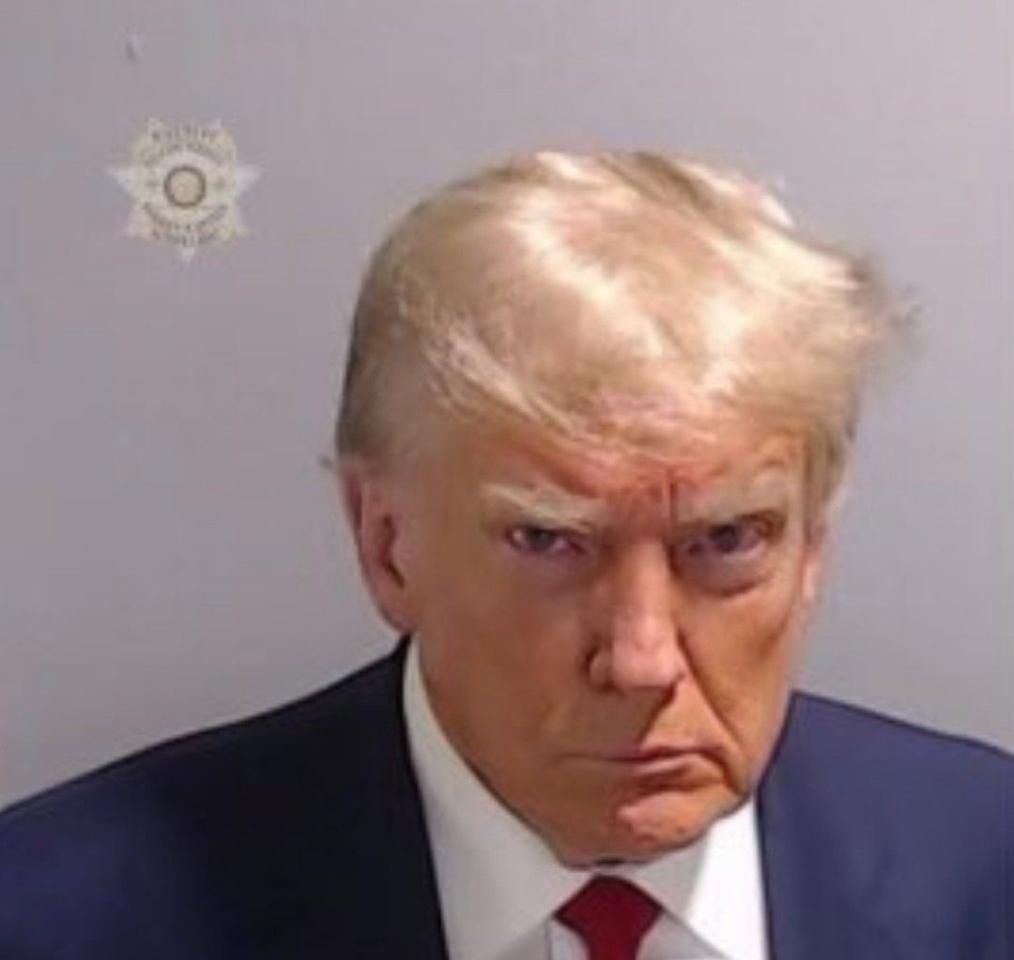 Mug Shot of Donald Trump