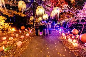 Images from Harvest Nights, Newfields