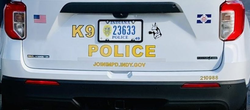 Image of K-9 Ringo Heading Home