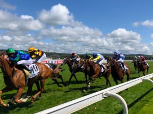 A Horse Race In Deauville