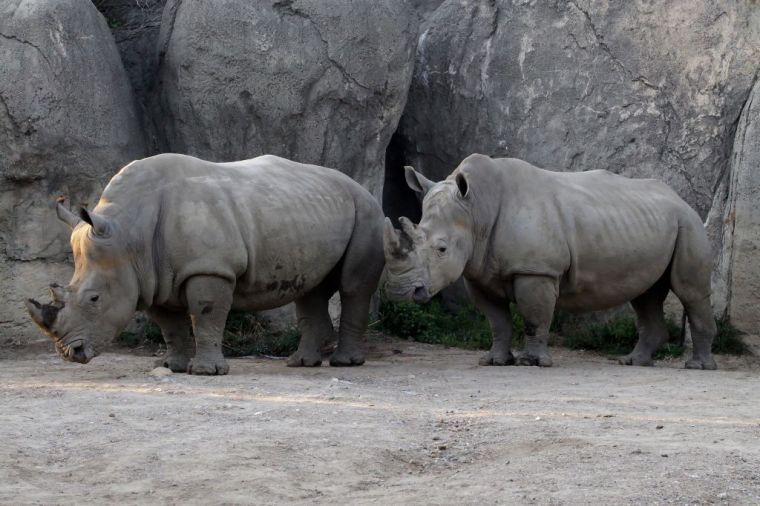 Indianapolis Zoo