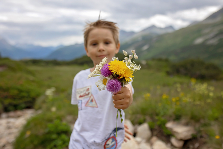 Beautiful blond child, boy, gathering wild flowers in the mountains in Switzerland, summertime
