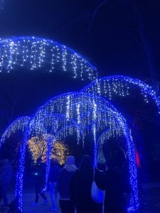 Image of Winterlights