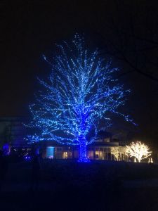 Image of Winterlights