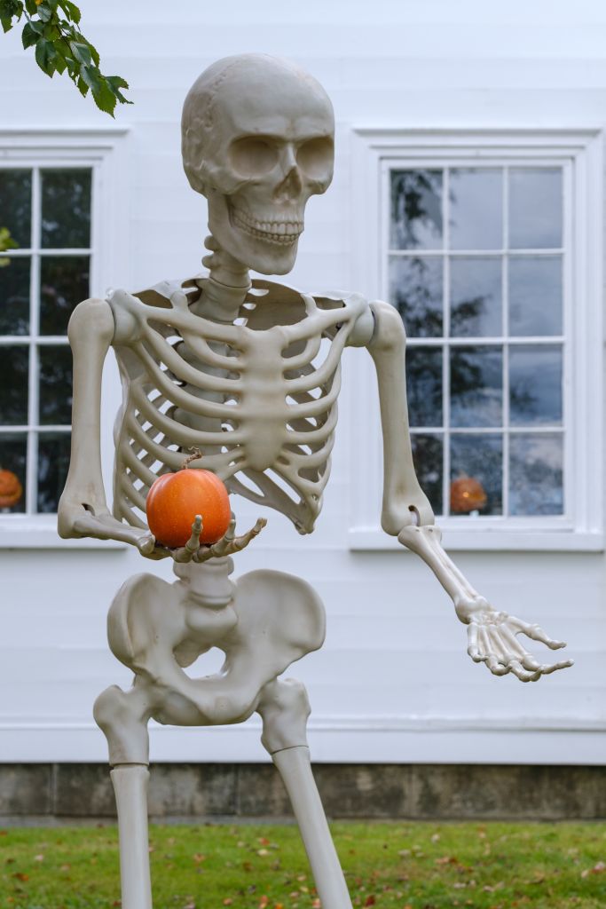 Halloween Skeleton And Pumpkin