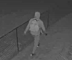 Suspect in Gun Thefts