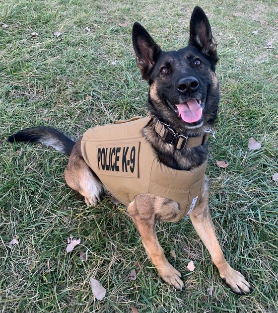 K9 KODA