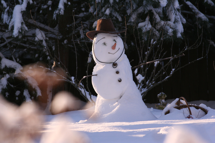 Snowman and tit
