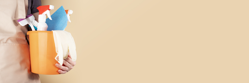 Housemaid with detergent, natural cleaning set, domestic hygiene, housekeeping