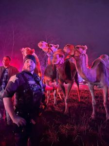 Image of Circus Animals on I-69