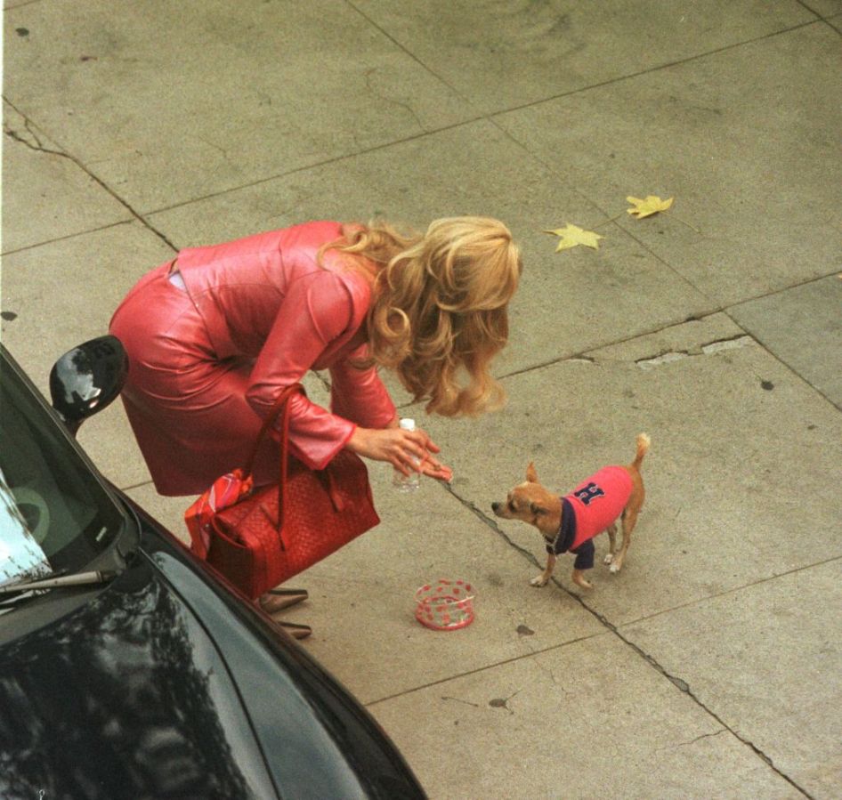 Reese Witherspoon in Legally Blonde