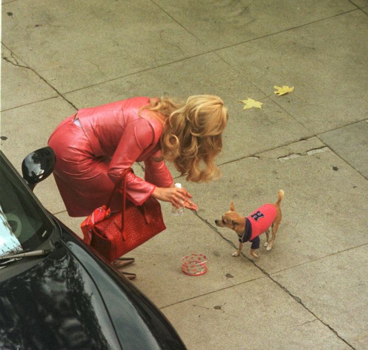 "Legally Blonde"