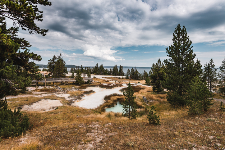Yellowstone National Park in Wyoming