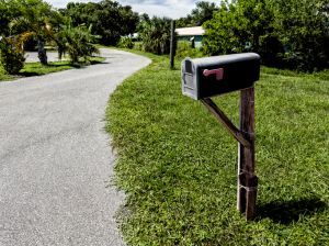 Close up one residential black mailbox on green grass