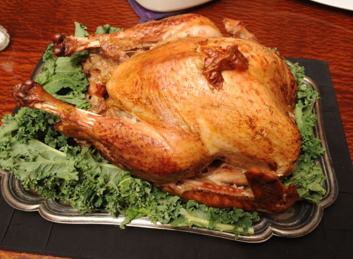 Benjamin Franklin: Turkey