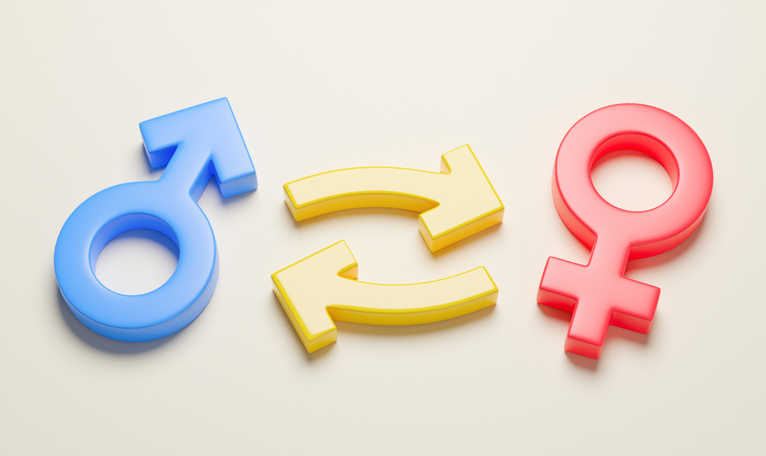 Maine wants to be a sanctuary state for gender reassignment for children