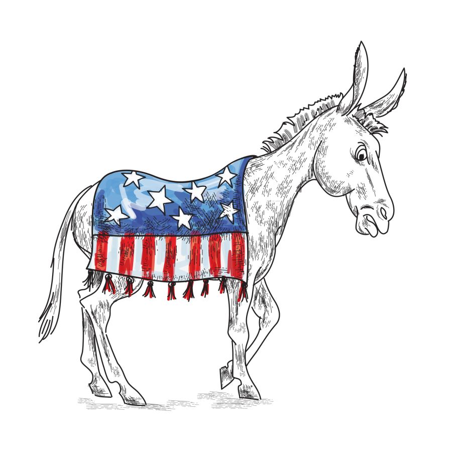 Sketchy Style Democratic Donkey On A Transparent Background