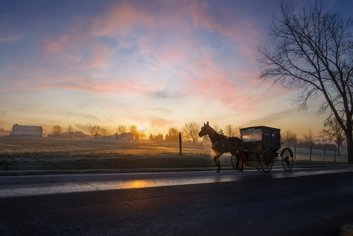 Amish buggy at dawn