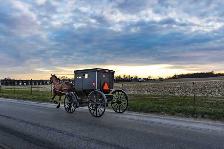 Amish horse and buggy on cloudy day