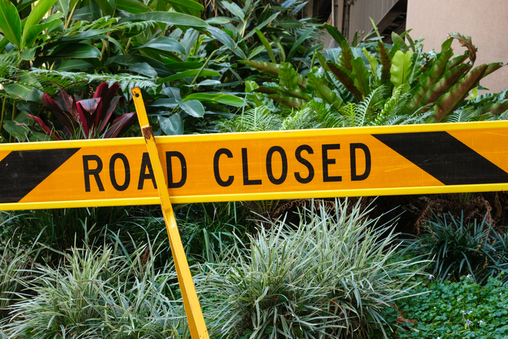 Road closed barrier amongst plants