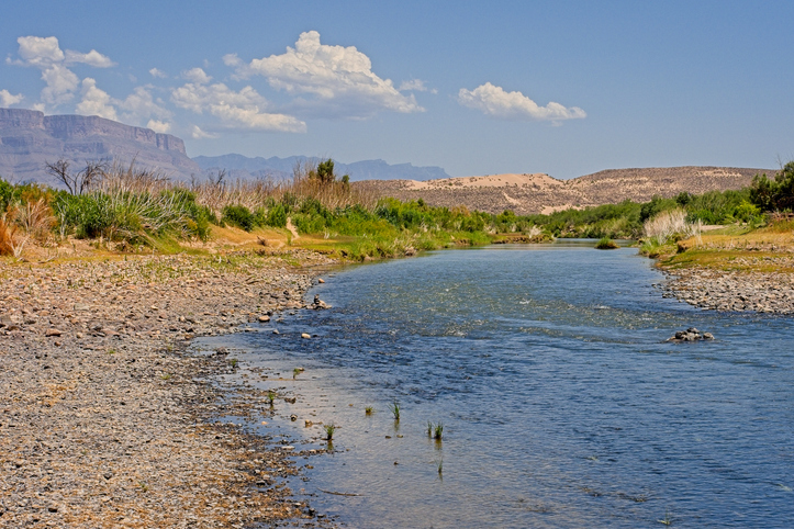 The Border continues to be the most important story in America.