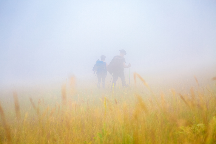 Misty morning tracking, couple walking across colourful alpine field in fog. Isolation in the nature concept. Idyllic springtime scenery in blooming meadow on Apennine Peninsula. secure distance